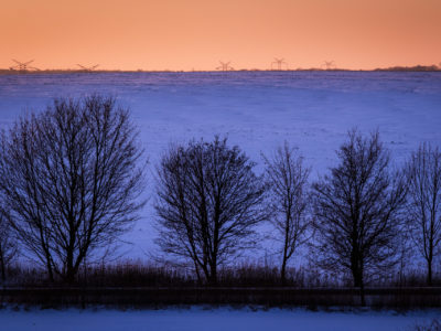 Cienie drzew na zaśnieżonej górze o zachodzie słońca.
